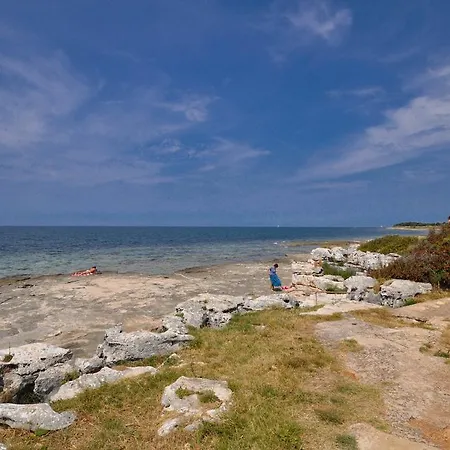 فيلة House Aurelio Novigrad Istria