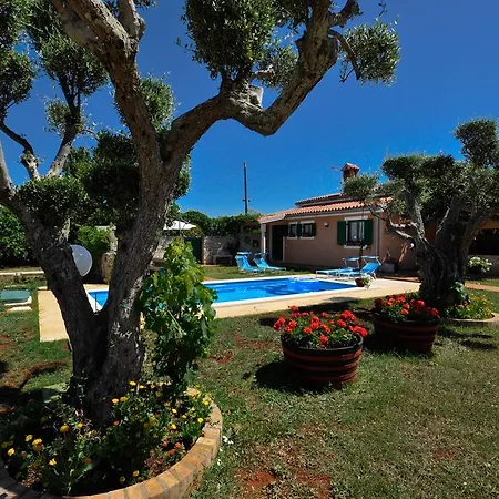 فيلة House Aurelio *